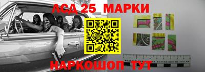прущие грибы Коммунар