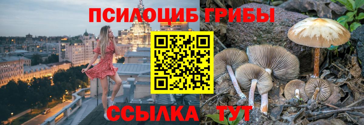 Псилоцибиновые грибы прущие грибы  Галлюциногенные грибы Magic Shrooms  закладка  Канаш  Вход с VPN 