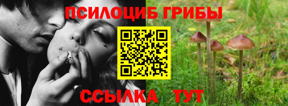 Галлюциногенные грибы GOLDEN TEACHER Канаш